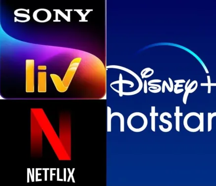 Netflix Disney Hotstar & Sony Liv Private Combo