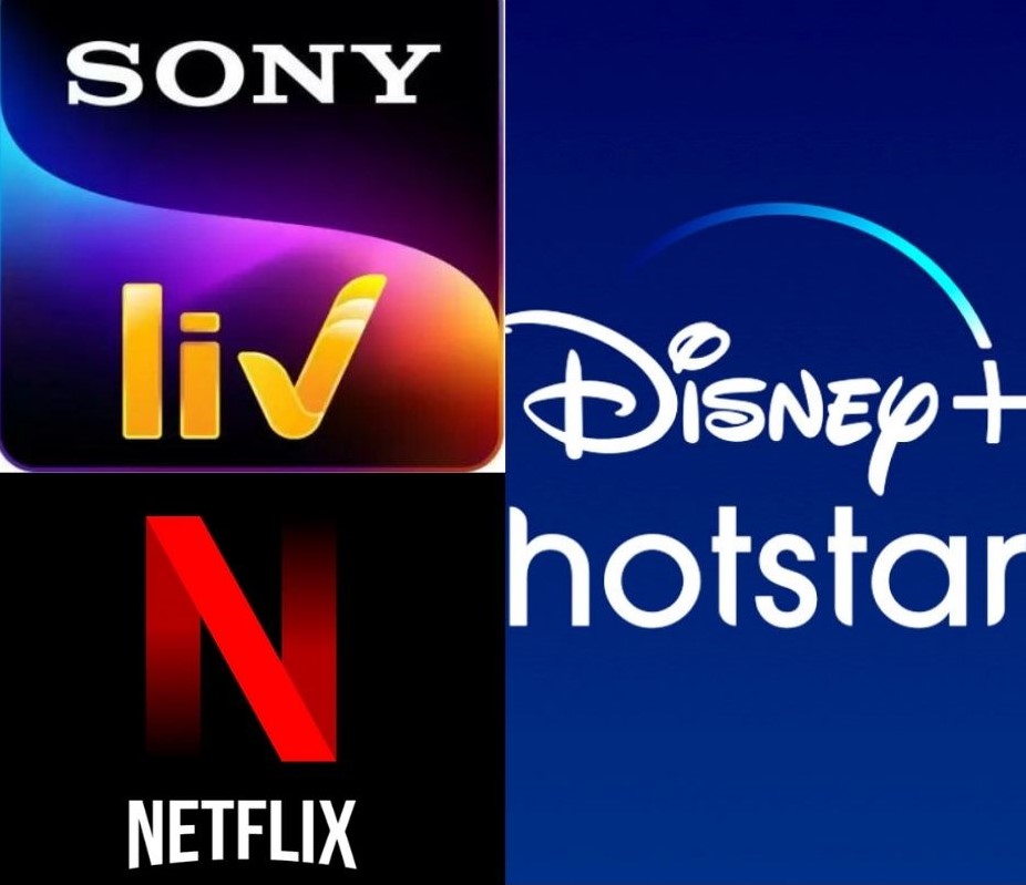 Netflix Disney Hotstar & Sony Liv Private Combo